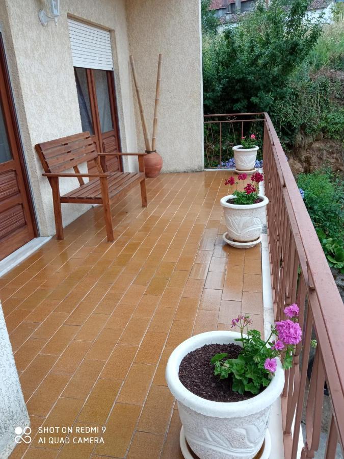 Casa Dos Grilos Penacova Ngoại thất bức ảnh