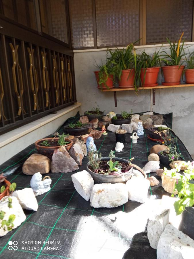 Casa Dos Grilos Penacova Ngoại thất bức ảnh