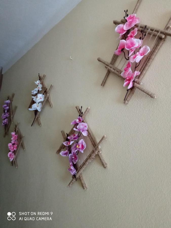 Casa Dos Grilos Penacova Ngoại thất bức ảnh